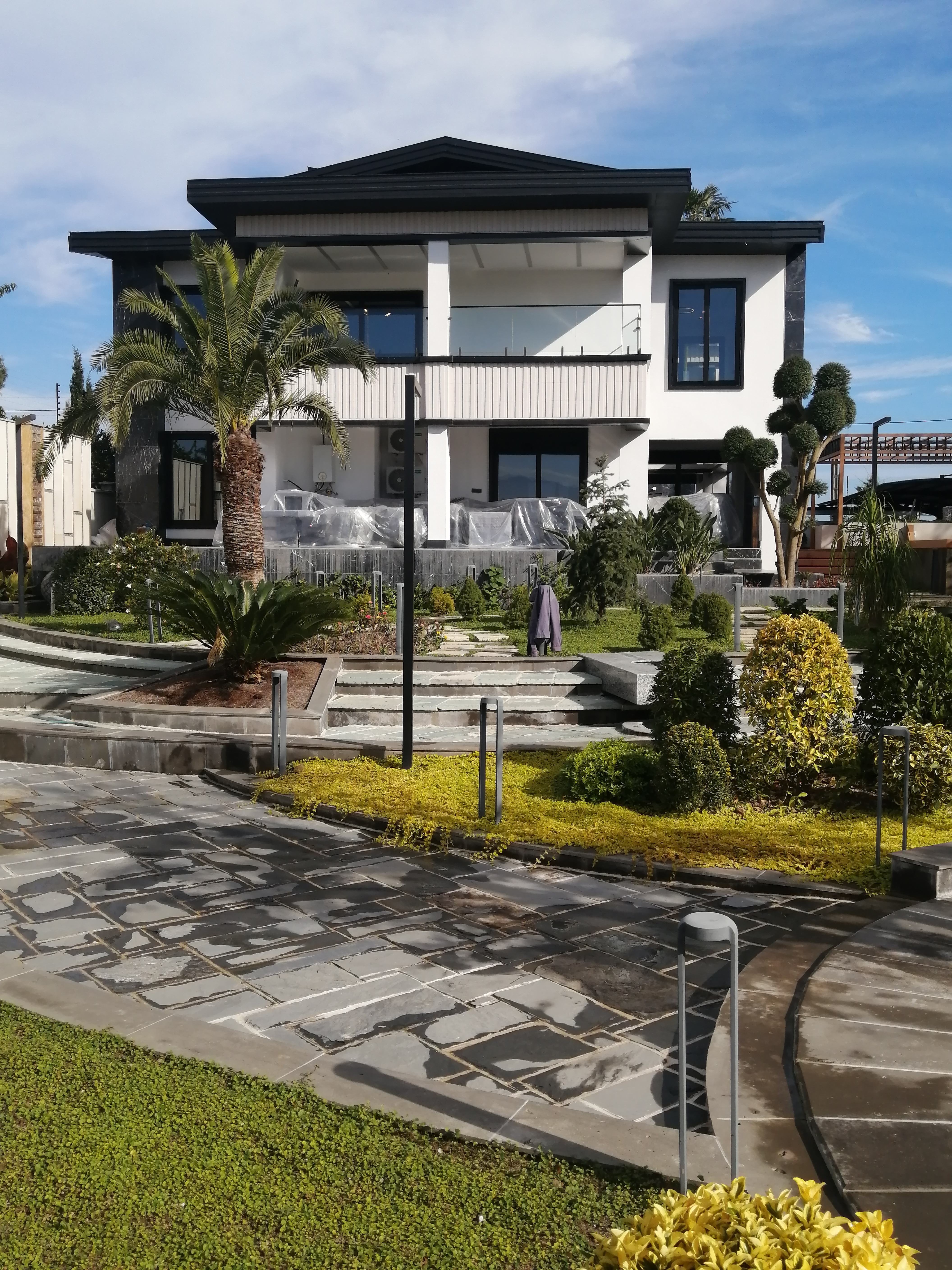 Palm villa